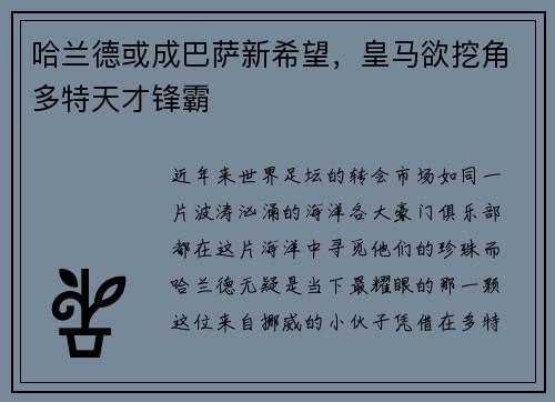 哈兰德或成巴萨新希望，皇马欲挖角多特天才锋霸