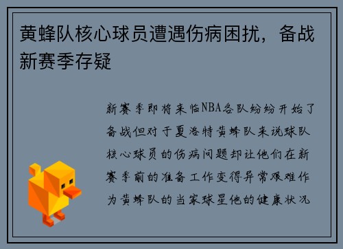 黄蜂队核心球员遭遇伤病困扰，备战新赛季存疑